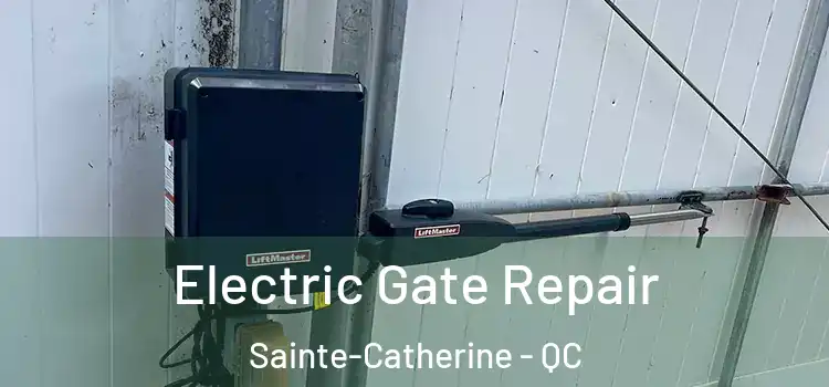Electric Gate Repair Sainte-Catherine - QC