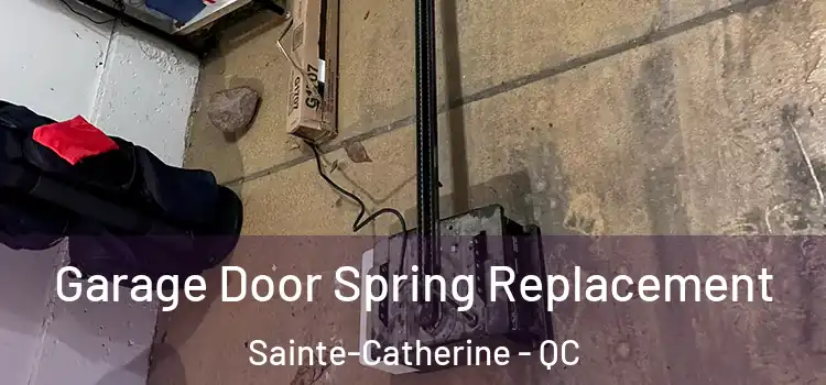  Garage Door Spring Replacement Sainte-Catherine - QC