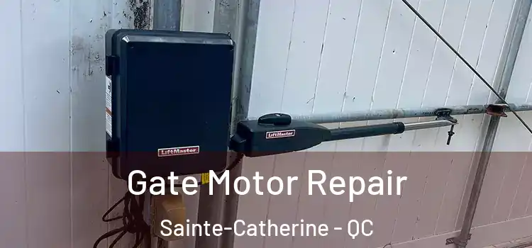Gate Motor Repair Sainte-Catherine - QC