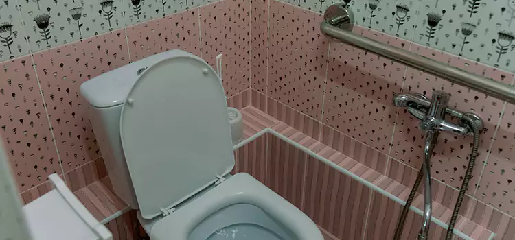 Meeting Diverse Needs With Accessible Restroom Solutions in Sainte-Catherine, QC