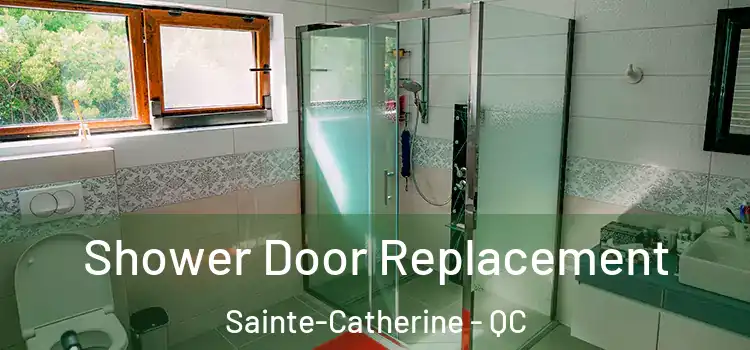 Shower Door Replacement Sainte-Catherine - QC